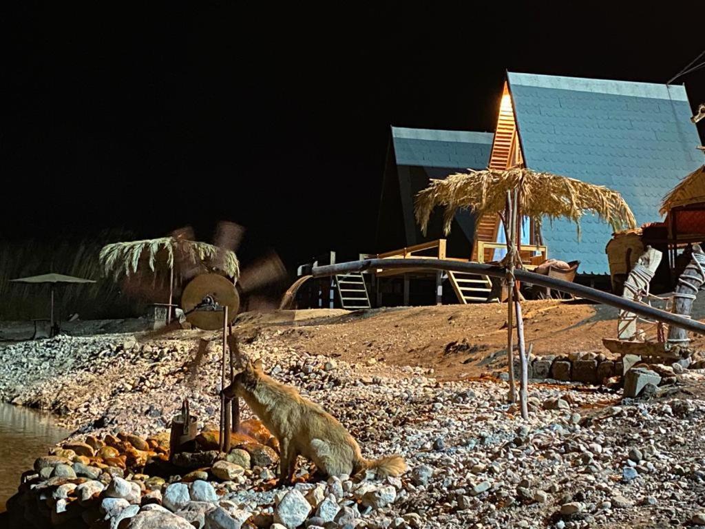 Wadi Al-Hassa Camp Hotell Khawkhah Eksteriør bilde