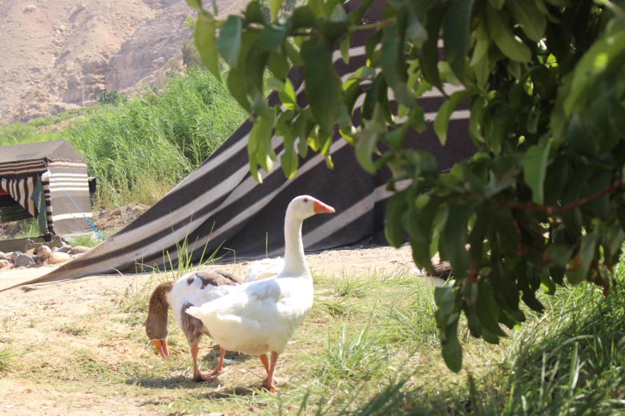 Wadi Al-Hassa Camp Hotell Khawkhah Eksteriør bilde