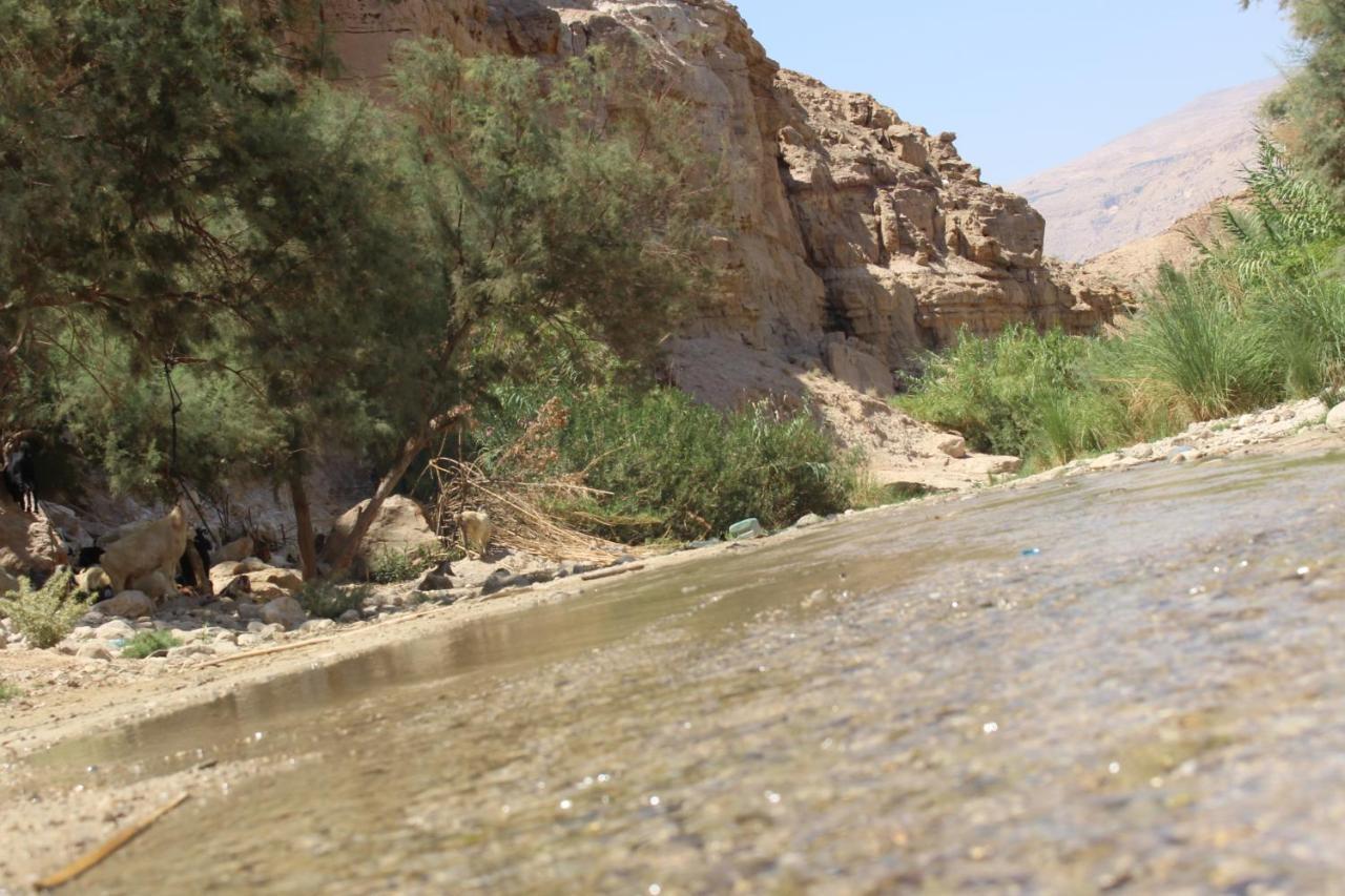 Wadi Al-Hassa Camp Hotell Khawkhah Eksteriør bilde