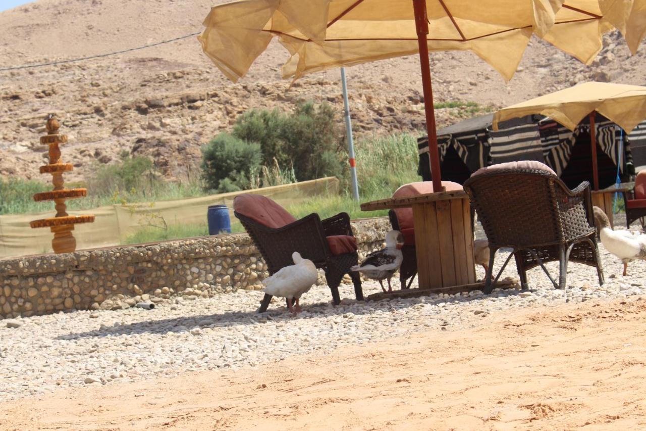 Wadi Al-Hassa Camp Hotell Khawkhah Eksteriør bilde