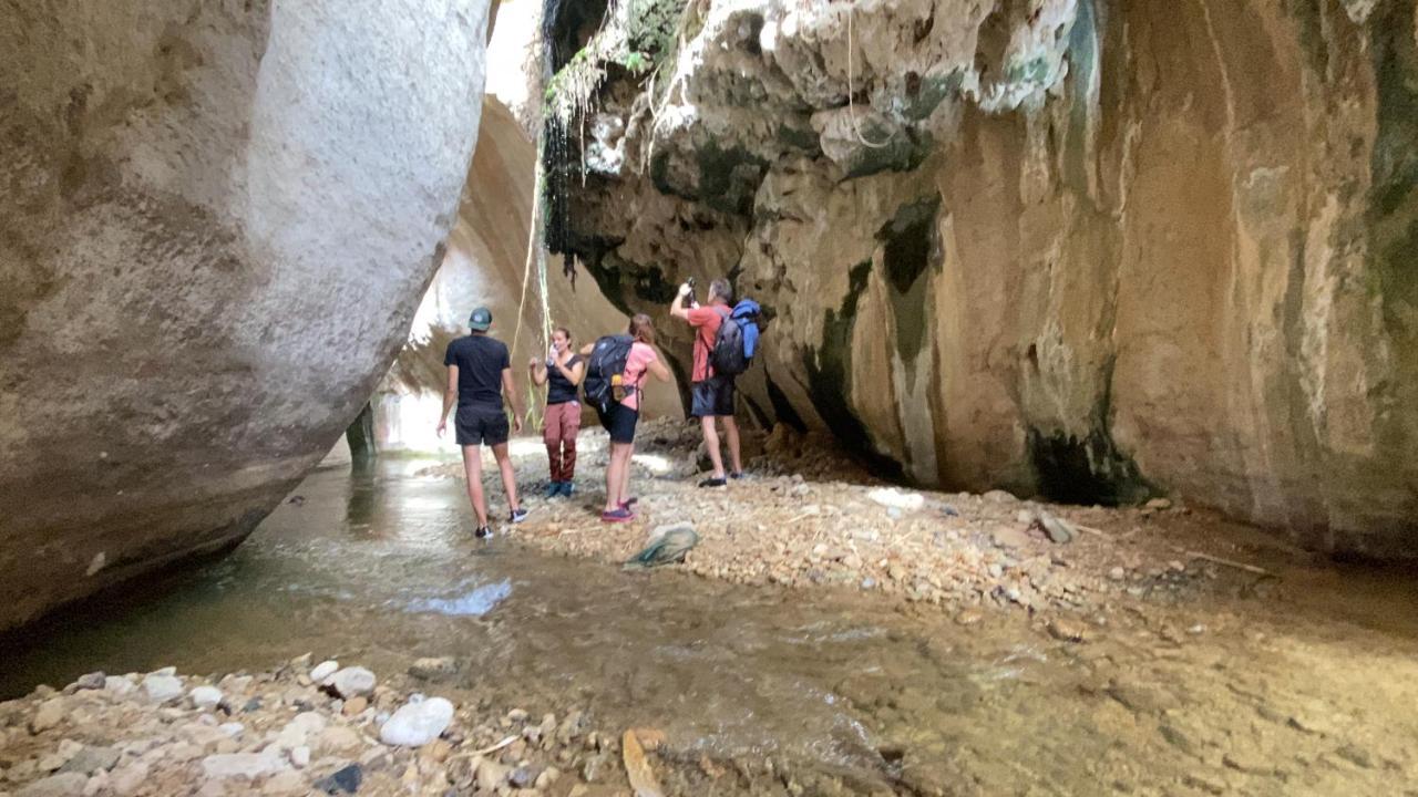 Wadi Al-Hassa Camp Hotell Khawkhah Eksteriør bilde