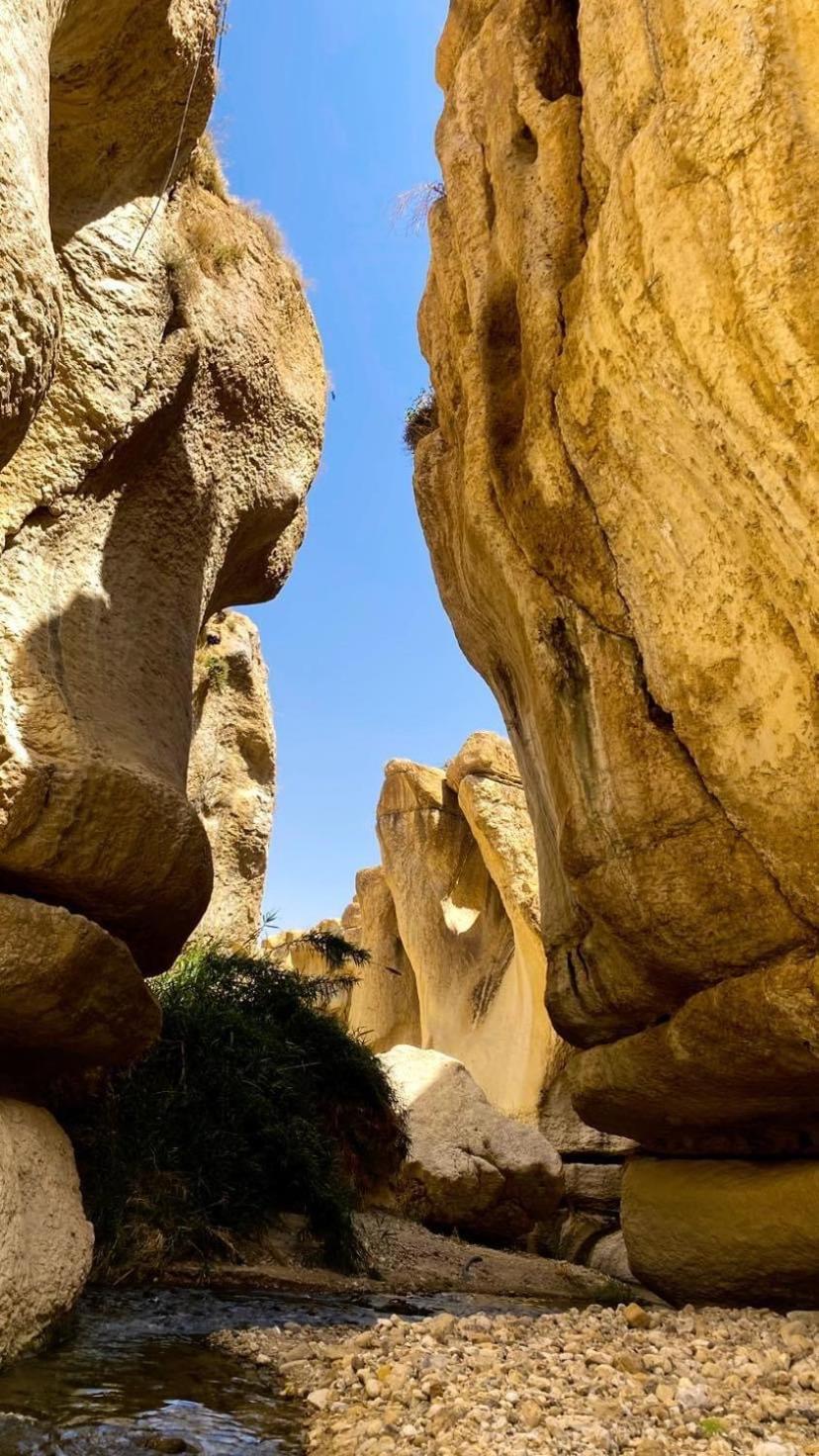 Wadi Al-Hassa Camp Hotell Khawkhah Eksteriør bilde
