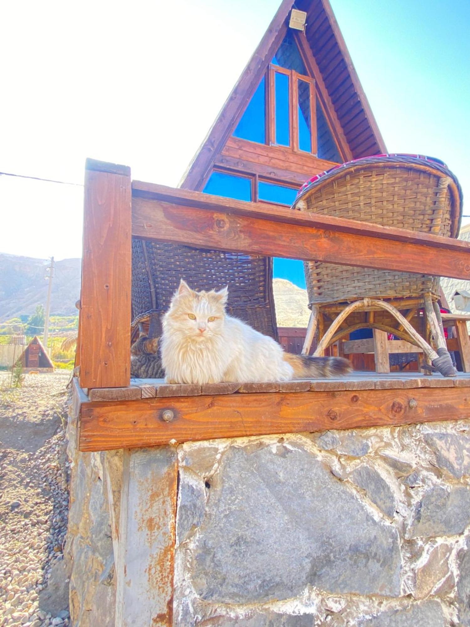 Wadi Al-Hassa Camp Hotell Khawkhah Eksteriør bilde